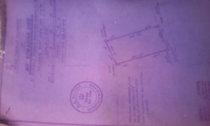 Image 1 Title