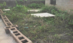 Image 1 Title