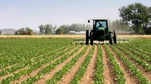 15 Acres Of Farmland  15 Acres of Land for Sale Iseyin Oyo Vetra  Property