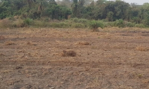 Uprooted 25 Acres Of Land  25 Acres of Land for Sale Iseyin Oyo Vetra  Property