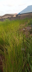 A Full Plot Of Land With 4shops At Peace Estate 1 Plot of Land for Sale Ipaja Lagos Vetra  Property