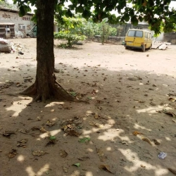 A 60 By 115 Plot Of Land Comprises Of Ten(10) Shops Land for Sale Alimosho Lagos Vetra  Property