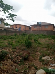 Half A Plot Of Land At Back Of Abesan Estate  1 Plot of Land for Sale Ipaja Lagos Vetra  Property