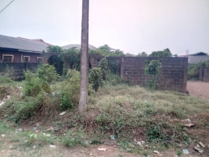 Image 1 Title