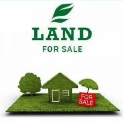 A Well Square Land (60/60) In Abesan Estate Ipaja 3,600 Meter Square of Land for Sale Ipaja Lagos Vetra  Property