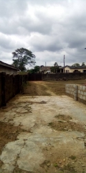 Half Plot Of Land  1 Plot of Land for Sale Ipaja Lagos Vetra  Property