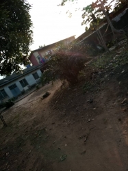 Image 1 Title