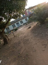 Image 1 Title