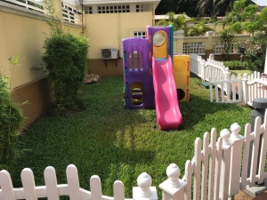 Image 1 Title