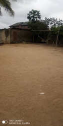 Image 1 Title