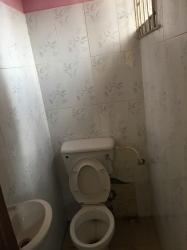 Image 1 Title