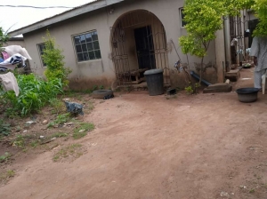 A Clean 2 Bedroom And Mini Flat On 40ft By 40ft Piece Of Land Detached Bungalow for Sale Ipaja Lagos Vetra  Property