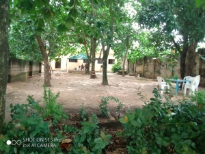 Image 1 Title