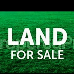 2 Plots Of Land In A Gated Community @ Abule Egba  2 Plots of Land for Sale Agege Lagos Vetra  Property