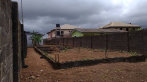 Half Plot Of Land @ Megida  1 Plot of Land for Sale Ipaja Lagos Vetra  Property
