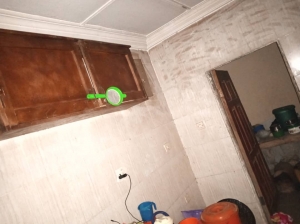 Image 1 Title