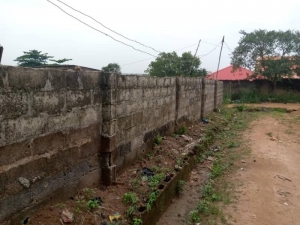 Image 1 Title