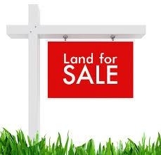 Half Plot Of Land @ Olorunisola  1 Plot of Land for Sale Ipaja Lagos Vetra  Property