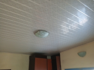 Image 1 Title