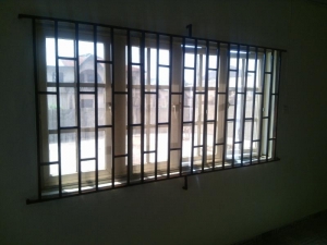 Image 1 Title