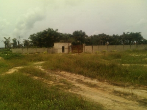 Image 1 Title