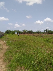 Dry Land  Land for Sale Lekki Lagos Vetra  Property