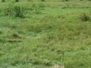 A Plot Of Land For Sale At Ibeju Lekki 1 Plot of Land for Sale Ibeju Lekki Lagos Vetra  Property