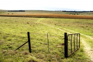 A Large Piece Of Land Measuring 1300sqm 1,300 Meter Square of Land for Sale Victoria Island Lagos Vetra  Property