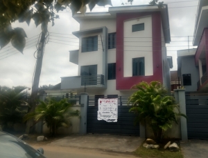 Image 1 Title