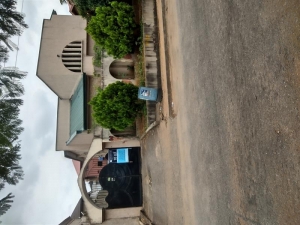 Image 1 Title