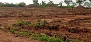 A Fenced Land Measuring 2550sqmts 2,550 Meter Square of Land for Rent Ikoyi Lagos Vetra  Property