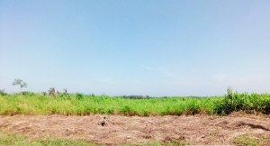 A Piece Of Land Measuring 2400sqmts 2,400 Meter Square of Land for Sale Ikoyi Lagos Vetra  Property