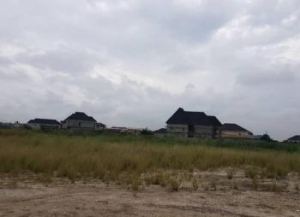 600sqm Of Land 600 Meter Square of Land for Sale Yaba Lagos Vetra  Property