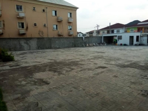 Image 1 Title