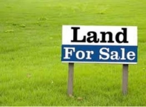 A Full Plot Of Land Measuring 550sqm 550 Meter Square of Land for Sale Surulere Lagos Vetra  Property