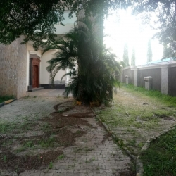 Image 1 Title