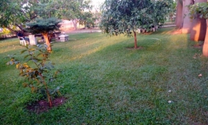 Image 1 Title