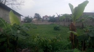 20 Plotsof Land For Sale On The Road  20 Plots of Land for Sale Port Harcourt Rivers Vetra  Property