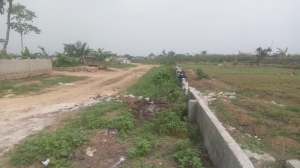 4 Plots Of Dry And Well Positioned Land For Sale  4 Plots of Land for Sale Port Harcourt Rivers Vetra  Property
