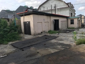 Image 1 Title
