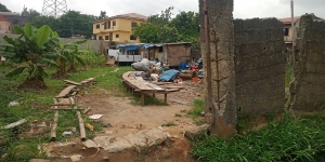 Image 1 Title