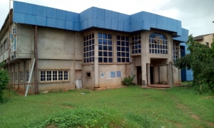 Image 1 Title
