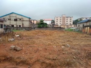 Solid Land Measured 500sqm At Ifako Gbagada 500 Meter Square of Land for Sale Gbagada Lagos Vetra  Property