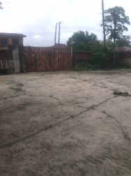 Image 1 Title