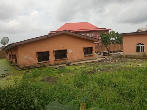 Image 1 Title