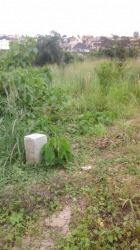 A Solid 500sqm Land At Magodo Phase2 500 Meter Square of Land for Sale Kosofe Ikosi Lagos Vetra  Property