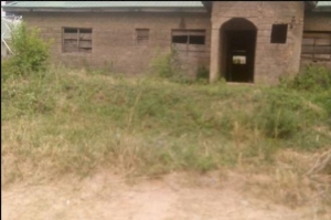Image 1 Title