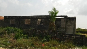 Image 1 Title