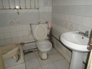 Image 1 Title