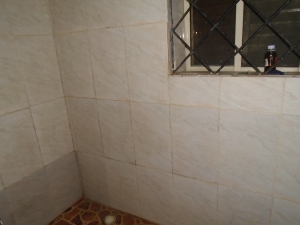 Image 1 Title